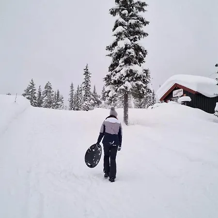 Family-friendly Steps From Everything דירה Beitostolen