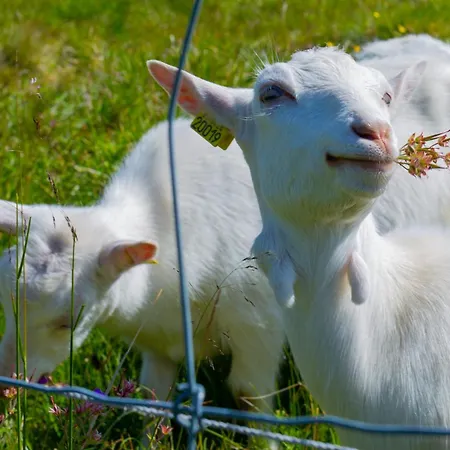 Family-friendly Steps From Everything